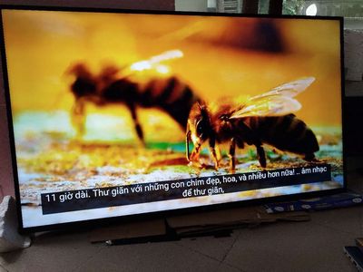Bán Smart TV LG 65 inch - Ảnh sắc nét