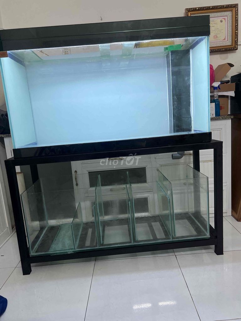 Bể cá cảnh Kính Kim loại 1m x 40cm x 60cm. Mua bán Phụ kiện, Thức ăn, Dịch vụ tại Quận Tân Phú Tp Hồ Chí Minh được đăng bởi huy hình 1