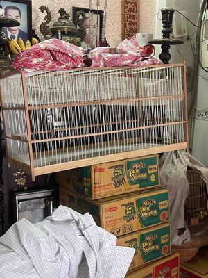 Giao lưu lòng khướu. Mua bán Phụ kiện, Thức ăn, Dịch vụ tại Quận Phú Nhuận Tp Hồ Chí Minh được đăng bởi heri