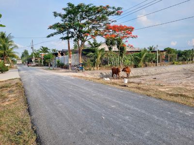 5x43 đường ô tô. Có thổ. Dân cư đông. 3xx tr