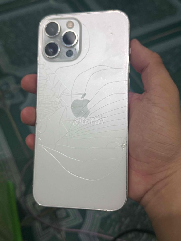 Apple iPhone 12 Pro Max 128GB Trắng. Mua bán Điện thoại tại Huyện Trảng Bom Đồng Nai được đăng bởi Thanh Khang hình 1