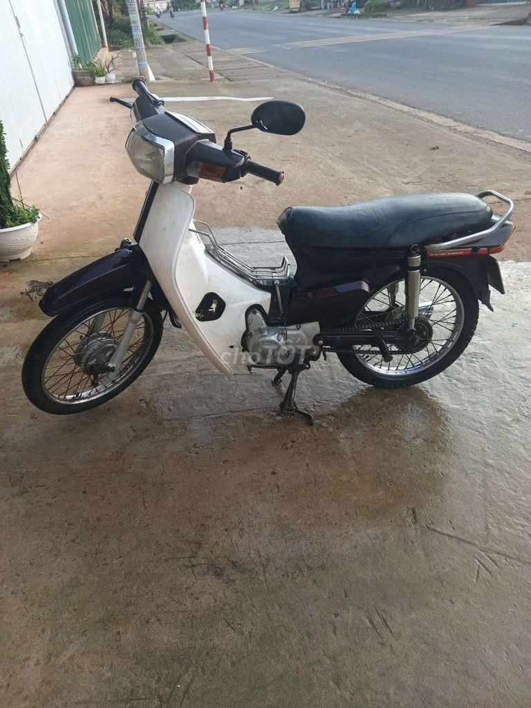 Honda Wave Alpha 2024 белый с коричневым