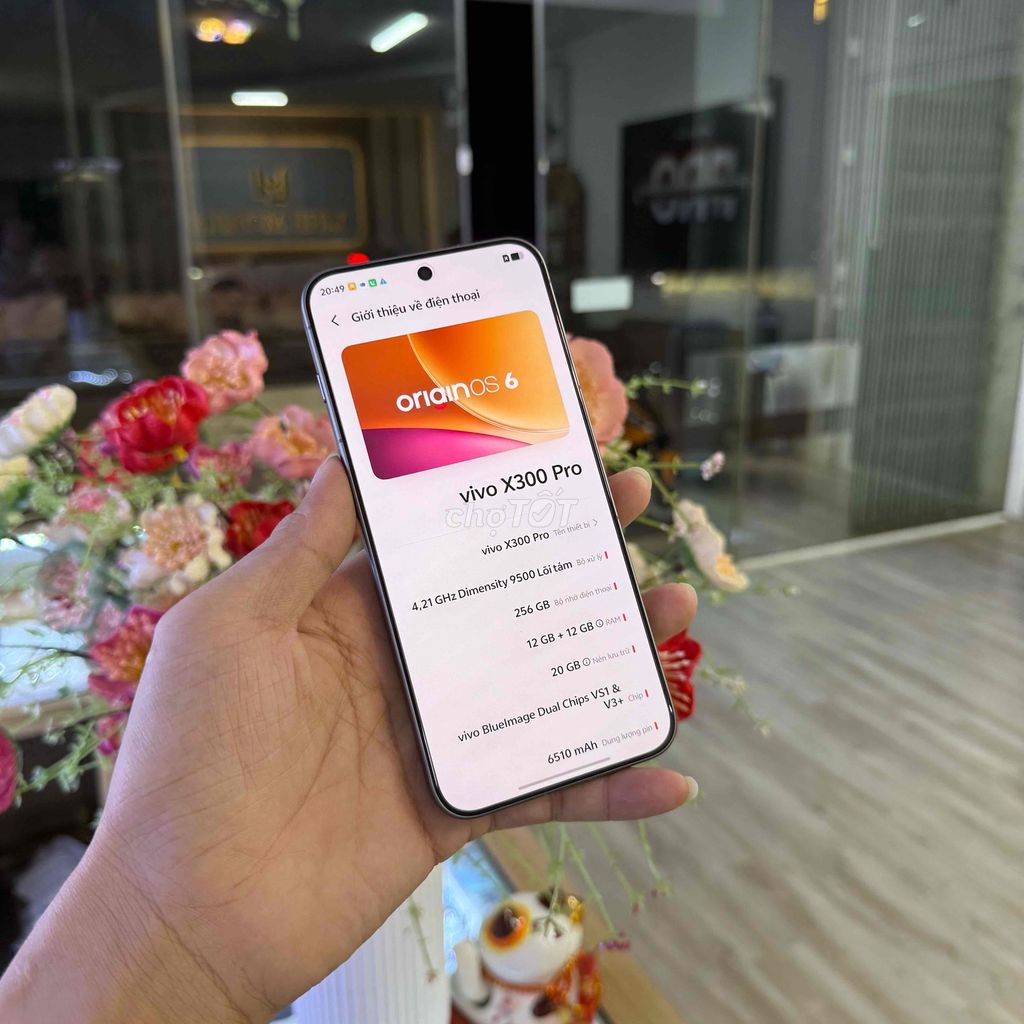 Vivo X300 Pro 256GB nâu Đã qua sử dụng. Mua bán Điện thoại tại Huyện Đồng Phú Bình Phước được đăng bởi Linh Mobile Đồng Phú  Đồng Xoài  Bình Phước hình 1