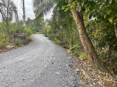 1000m2 đnag trồng chanh và dừa thu hoạch, cách 816 tam 1km đg ô tô. Mua bán đất tại Huyện Bến Lức Long An được đăng bởi Phan Anh Khoa