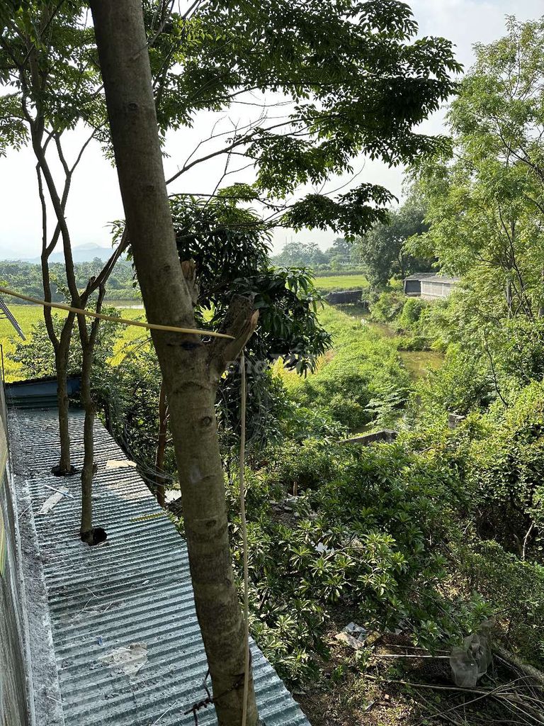Cần tiền bán đất thổ cư chương mỹ xây nhà thoải mái 330m2 - 990tr. Mua bán đất tại Huyện Chương Mỹ Hà Nội được đăng bởi đỗ hà hình 5