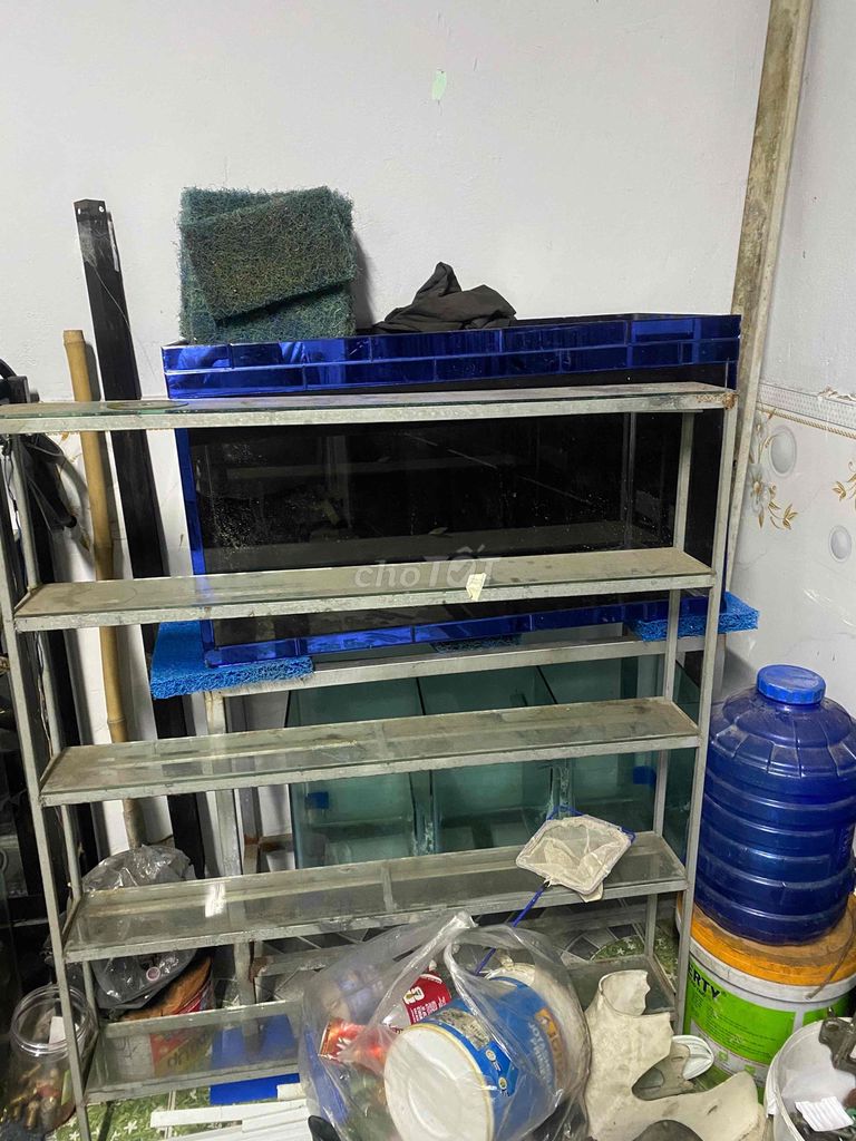 Hồ cá 90x50x40cm kèm kệ. Mua bán Phụ kiện, Thức ăn, Dịch vụ tại Quận Tân Phú Tp Hồ Chí Minh được đăng bởi Trung hình 1