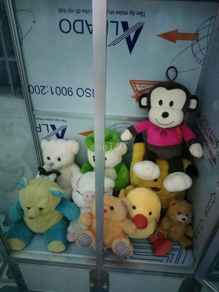Gấu bông thanh lý. Mua bán Sở thích khác tại Quận Ô Môn Cần Thơ được đăng bởi Dong Duy Tran hình 1