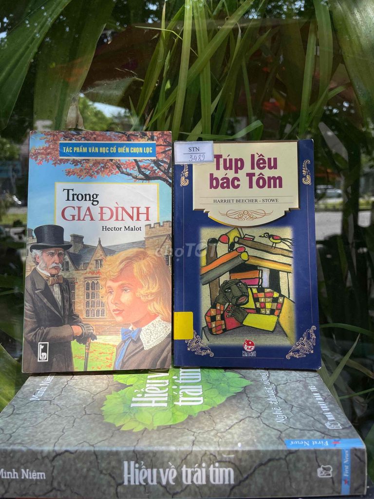 sách văn học cho tuổi teen