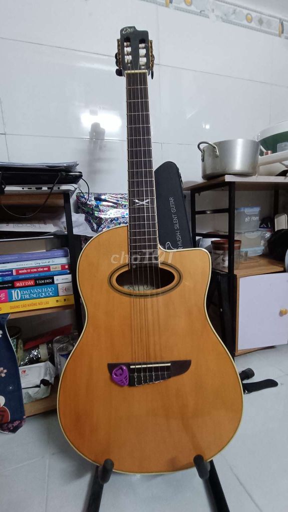 Guitar eko classic