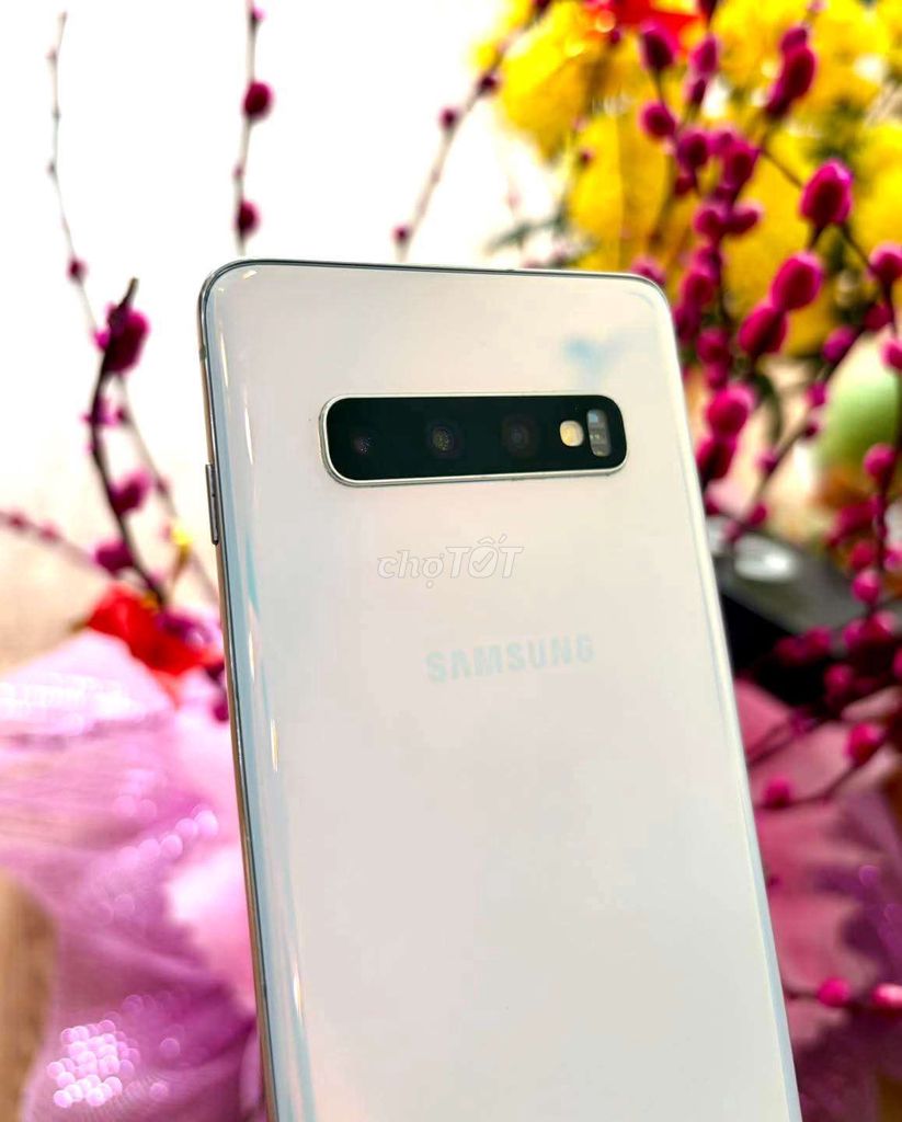 Samsung S10 trắng zin máy. Mua bán Điện thoại tại Quận Bình Tân Tp Hồ Chí Minh được đăng bởi Ngọc Tài Moile hình 1