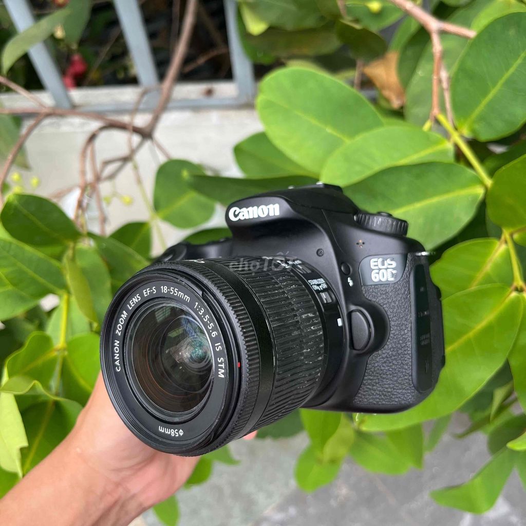 Máy ảnh Canon EOS 60D Như mới. Mua bán Máy ảnh, Máy quay tại Quận Hải Châu Đà Nẵng được đăng bởi dungphan hình 1