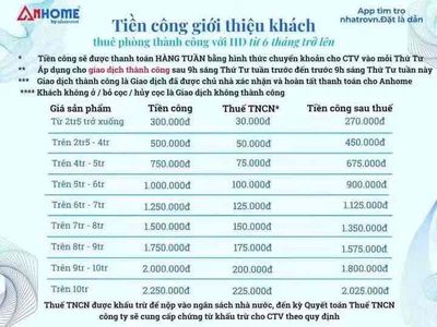 Cần 5b phụ tư vấn mùa cao điểm