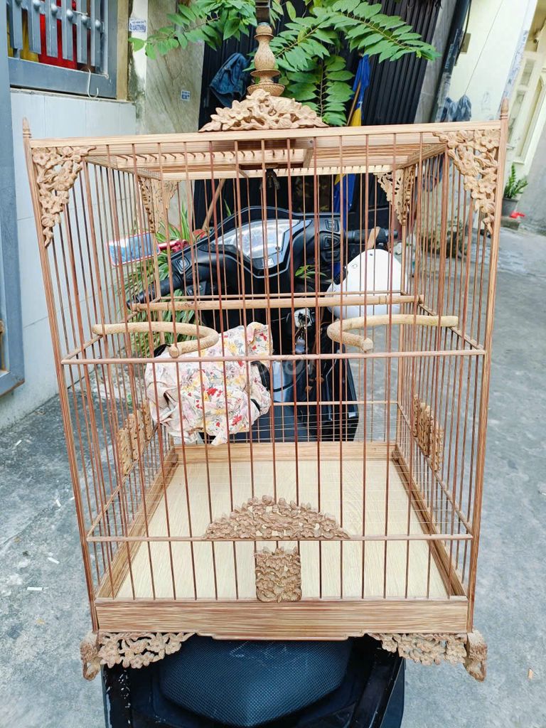 Lồng vuông cao tre già Huế chạm mai size 37. Mua bán Phụ kiện, Thức ăn, Dịch vụ tại Quận Gò Vấp Tp Hồ Chí Minh được đăng bởi Mai Vũ Land hình 1