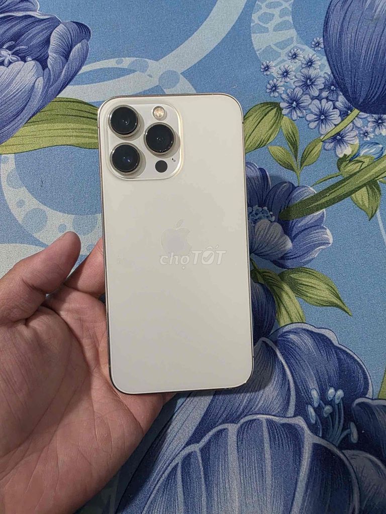 Apple iPhone 13 Pro 128GB Vàng zin all. Mua bán Điện thoại tại Huyện Lâm Hà Lâm Đồng được đăng bởi Trần Cương hình 1
