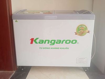 Tủ đông mặt kính kangroo 300L