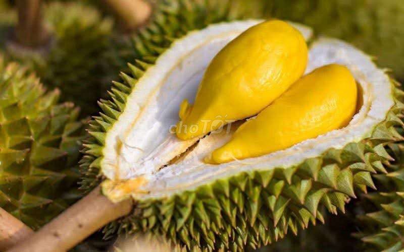 Sầu riêng chín cây sạch 100%. Mua bán Đồ ăn, thực phẩm và các loại khác tại Quận 12 Tp Hồ Chí Minh được đăng bởi Jen Nguyen hình 1