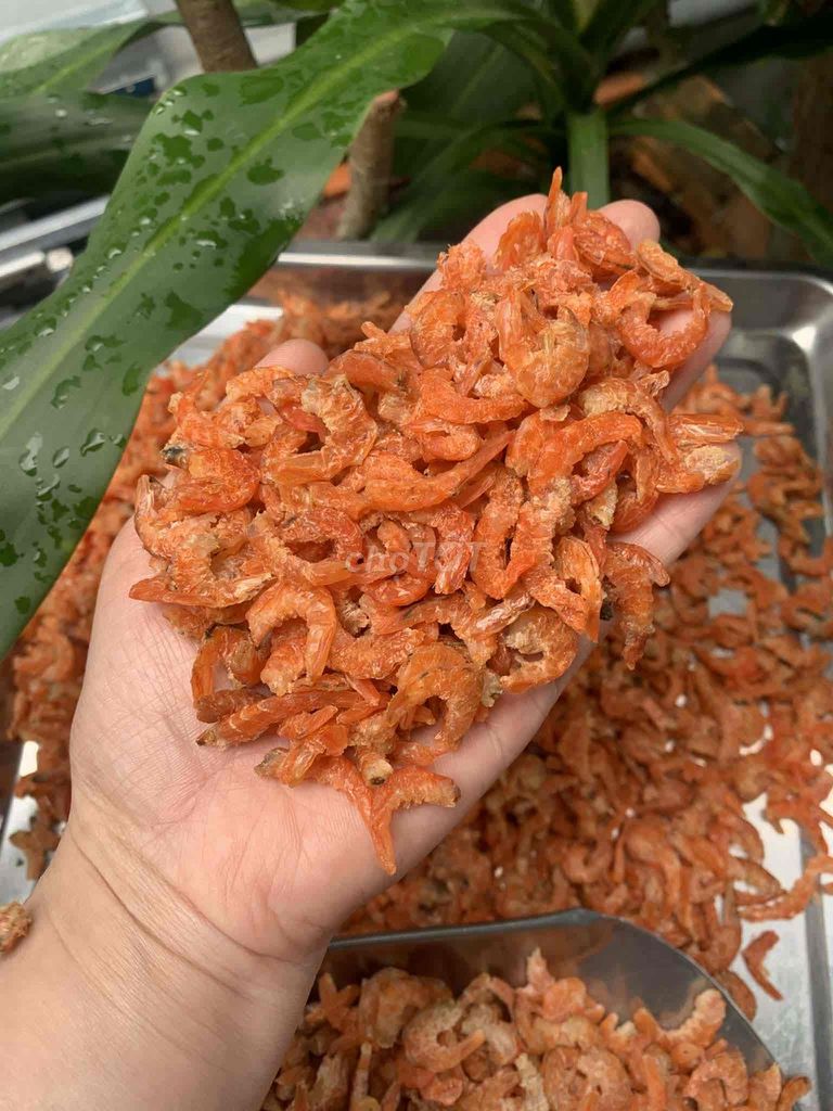 Tôm khô Tôm thẻ nhỏ 1kg. Mua bán Đồ ăn, thực phẩm và các loại khác tại Quận Phú Nhuận Tp Hồ Chí Minh được đăng bởi nguyen trang hình 1