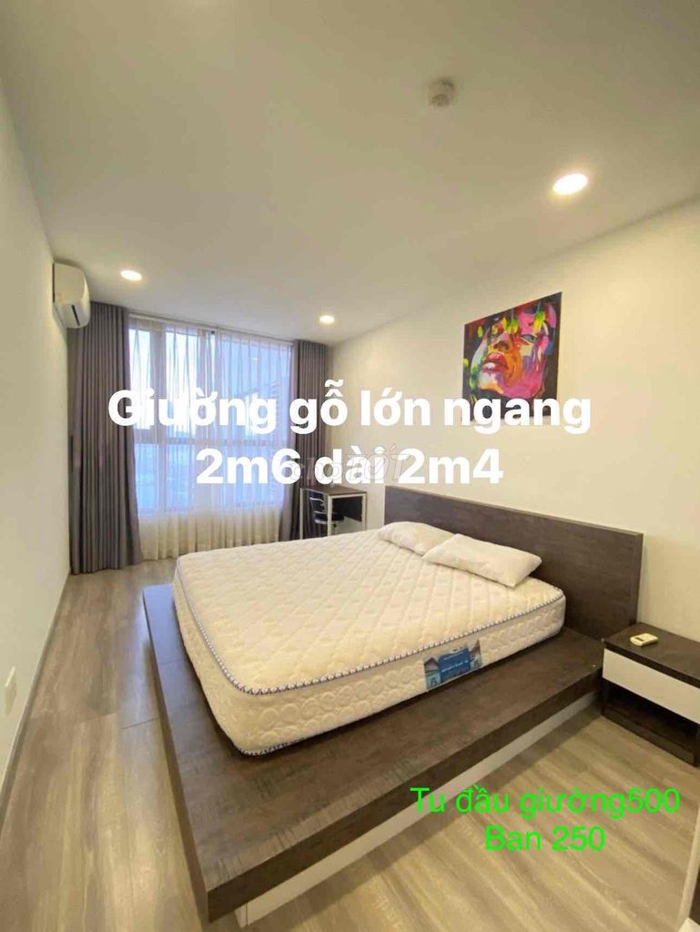 giương ngang 2m4 dài 2m6 gỗ xịn dạng sàn