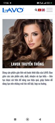 Công ty CP Lavo logo