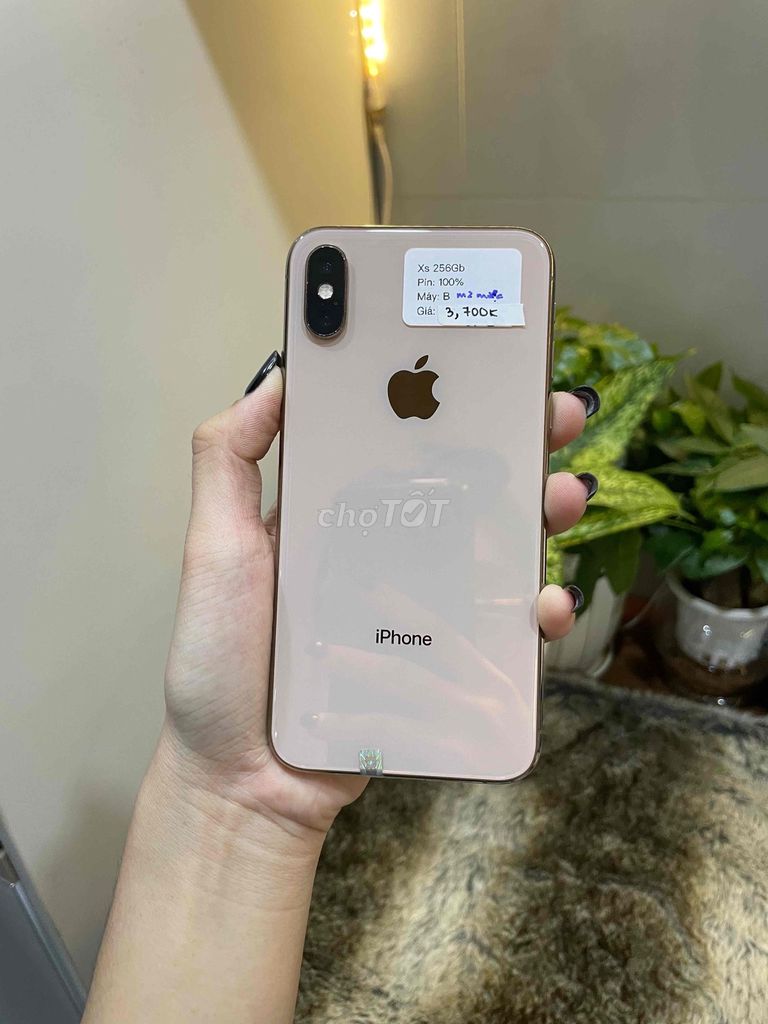 iPhone Xs 256GB Gold zin pin 100%. Mua bán Điện thoại tại Huyện Hóc Môn Tp Hồ Chí Minh được đăng bởi Luân Hoài hình 1