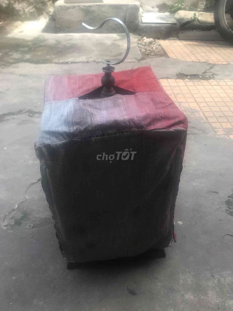 Chim ssdđ 3 tháng lồng to hót xoè. Mua bán Chim tại Quận Phú Nhuận Tp Hồ Chí Minh được đăng bởi Lập huỳnh hình 1