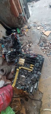 Thanh lý 4 miếng Asus H81 và 2 miếng Asus H110 799. Mua bán Linh kiện (RAM, Card...) tại Quận Tân Phú Tp Hồ Chí Minh được đăng bởi Trương Văn Tèo