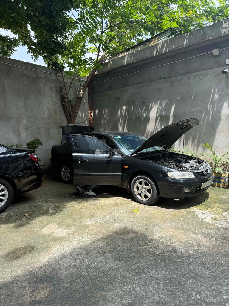 Ảnh số 4