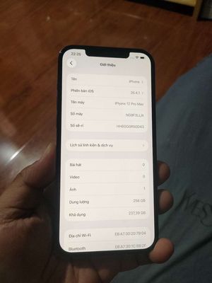 iPhone 12 Pro Max 256GB Xanh