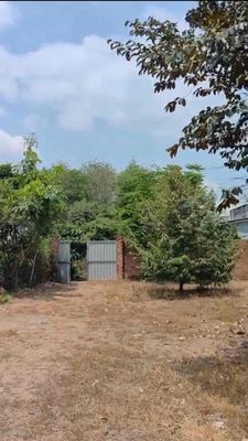 ĐANG CẦN BÁN GẤP NHÀ VƯỜN 2500M2 CÓ SẴN CÂY ĂN TRÁI. Mua bán đất tại Huyện Phú Giáo Bình Dương được đăng bởi Quốc Vinh