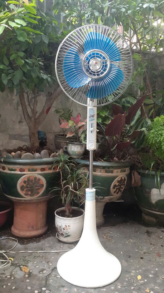 Quạt cây nhật xưa Hitachi 1m3 cánh 30cm nguyên zin. Mua bán Quạt tại Quận 6 Tp Hồ Chí Minh được đăng bởi Điện máy Nhật VIP AN KHÁNH hình 1