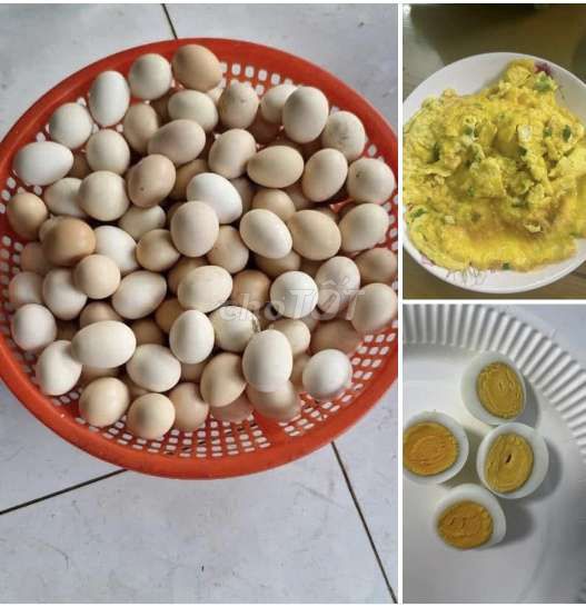 Trứng so gà ta. Mua bán Đồ ăn, thực phẩm và các loại khác tại Thị xã Bến Cát Bình Dương được đăng bởi Xuân Tứ hình 1