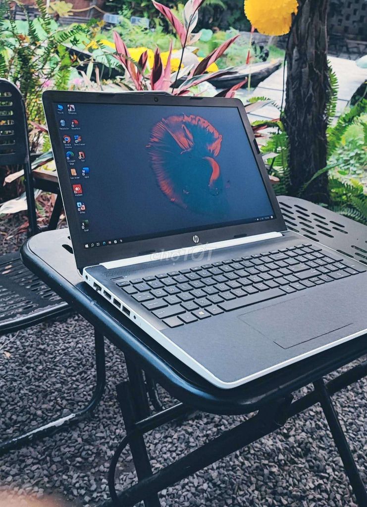 HP 15 i5 Gen 8 15.6 inch 8GB/SSD Trắng. Mua bán Laptop tại Huyện Long Điền Bà Rịa - Vũng Tàu được đăng bởi Ty hình 1