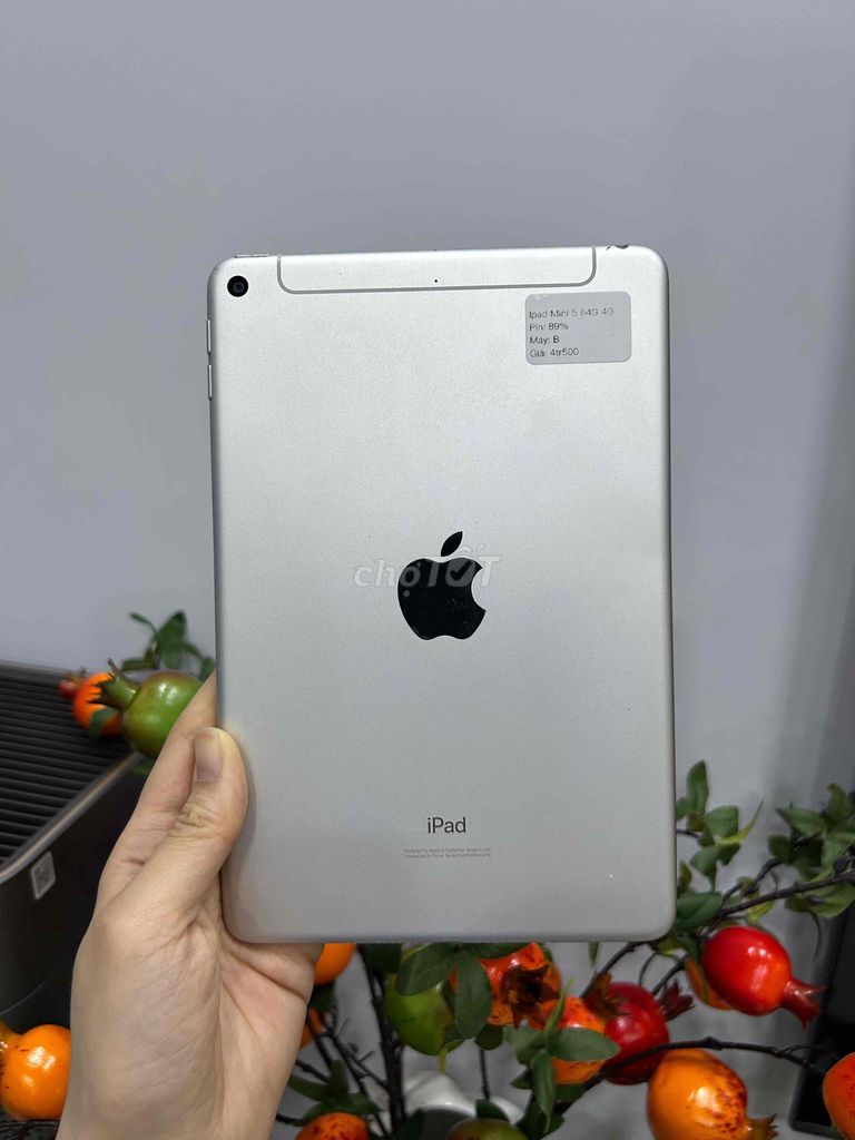 Apple iPad Mini 5 64GB Bạc - 4G. Mua bán Máy tính bảng tại Huyện Hóc Môn Tp Hồ Chí Minh được đăng bởi SIRI STORE HCM hình 1