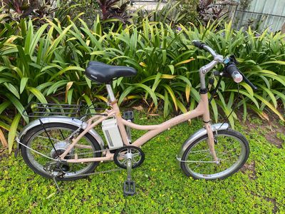 Xe đạp điện đa năng 3 chế độ trợ lực vặn ga Nhật