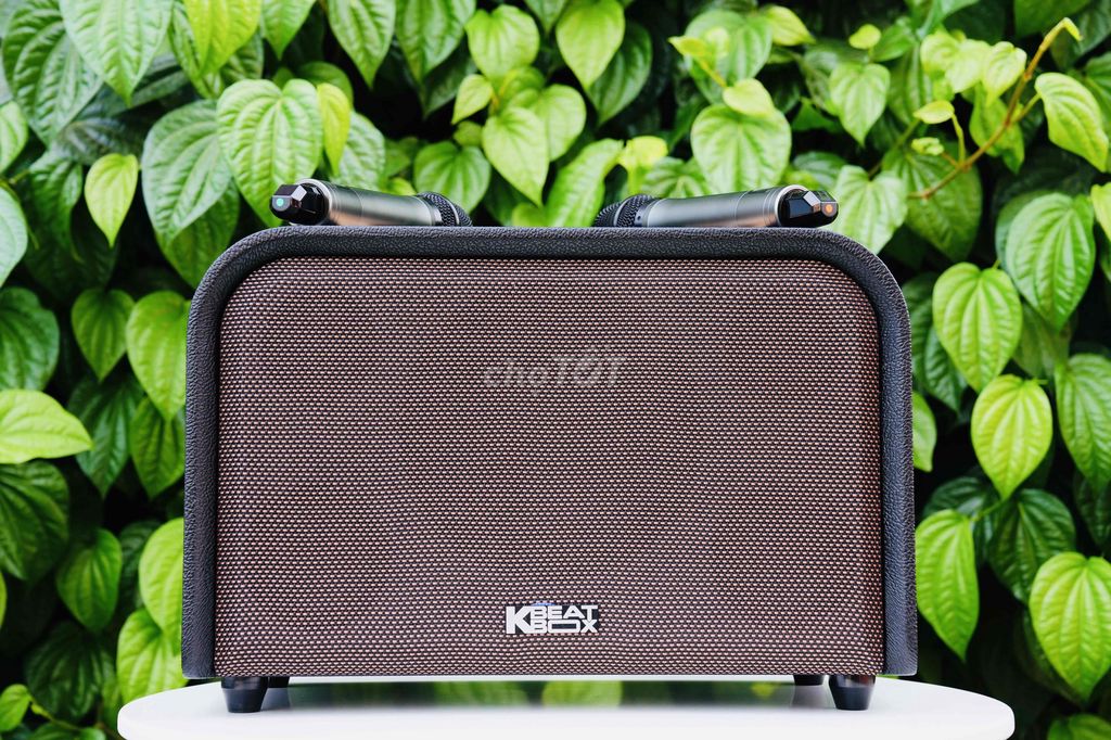 Loa karaoke Acnos Acoustic3 Compact Đen. Mua bán Tivi, Âm thanh tại Huyện Trảng Bom Đồng Nai được đăng bởi Vinh Báo Đồng Nai hình 1