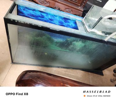 Thanh lí Bể cá cảnh Kính Trong suốt to giá rẻ. Mua bán Phụ kiện, Thức ăn, Dịch vụ tại Quận Hoàng Mai Hà Nội được đăng bởi Quy