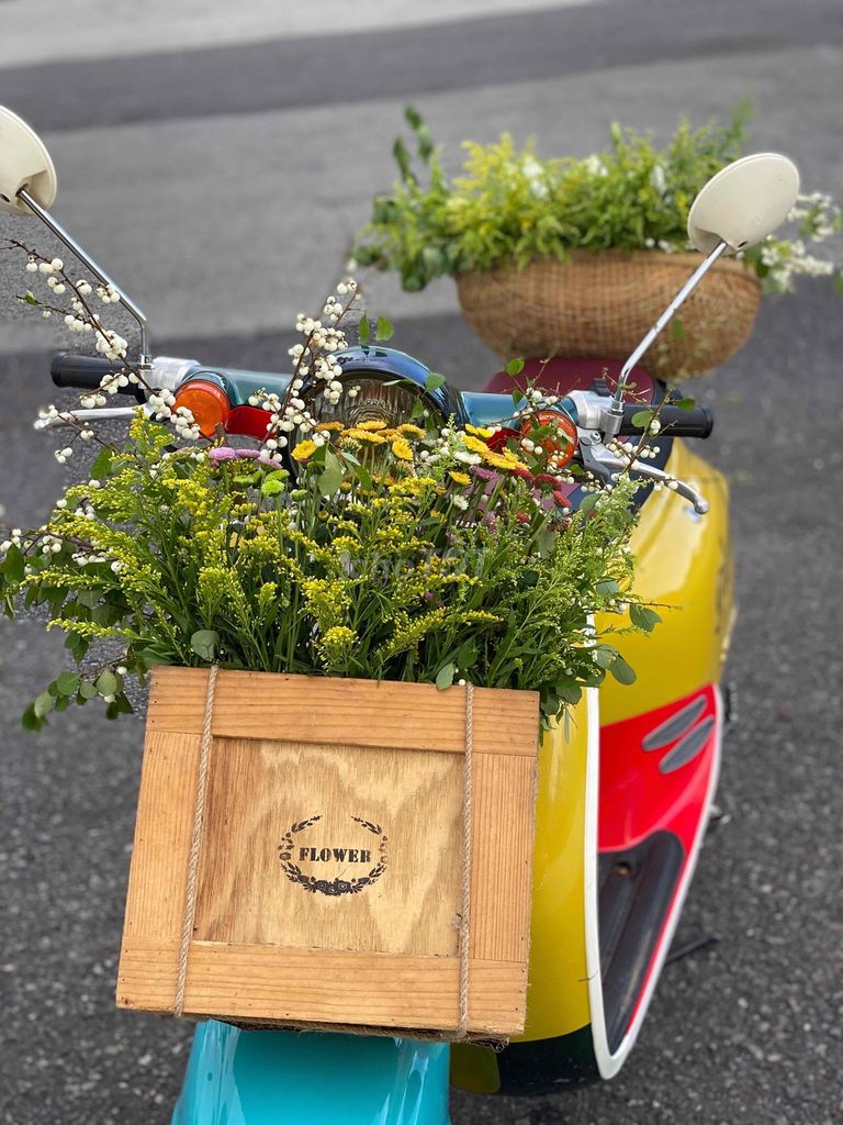 mình cần bán xe giorno của vợ ai cần ib ạ. Mua bán Xe máy tại Huyện Dầu Tiếng Bình Dương được đăng bởi nguyễn thế sang hình 2