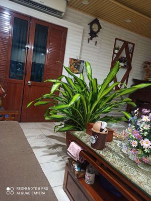 Cần bán. Mua bán đất tại Quận Hoàng Mai Hà Nội được đăng bởi laly nguyễn