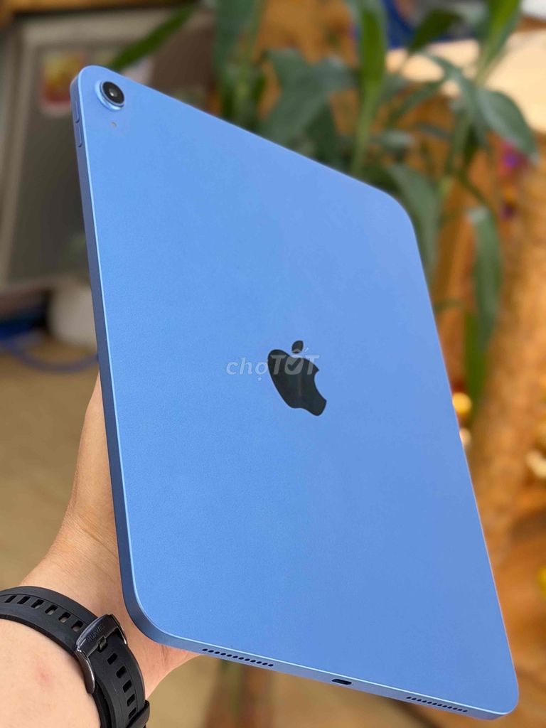 Apple iPad A16 Wifi 128GB Xanh. Mua bán Máy tính bảng tại Quận Thanh Khê Đà Nẵng được đăng bởi dương hình 1