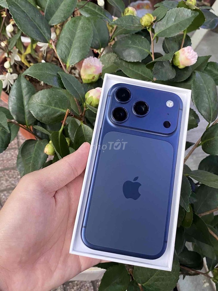 17 Pro Max 2TB Xanh Mỹ Pin 100 sạc 0L BH T10/26. Mua bán Điện thoại tại Quận 3 Tp Hồ Chí Minh được đăng bởi Nam Á Mobile hình 1