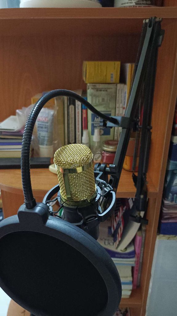 Micro thu âm BM800 Vàng. Mua bán Tivi, Âm thanh tại Quận 8 Tp Hồ Chí Minh được đăng bởi Phuoc Huu hình 1