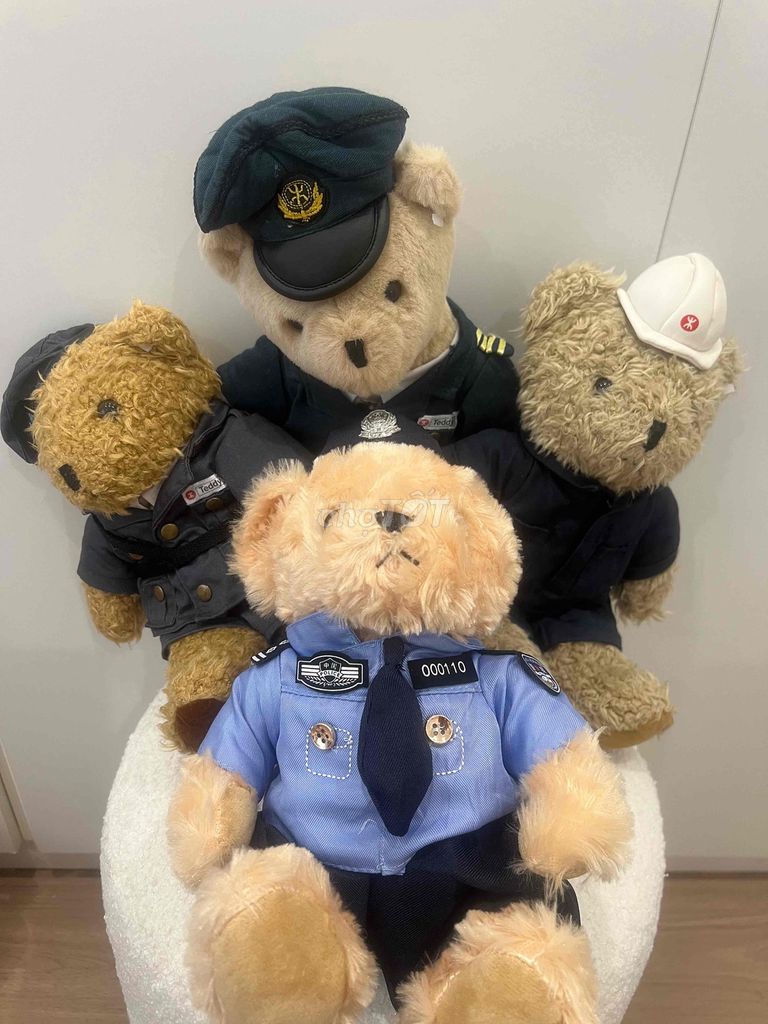 Teddy nghề nghiệp. Mua bán Sở thích khác tại Quận Bình Thạnh Tp Hồ Chí Minh được đăng bởi Hoàng Hải hình 1