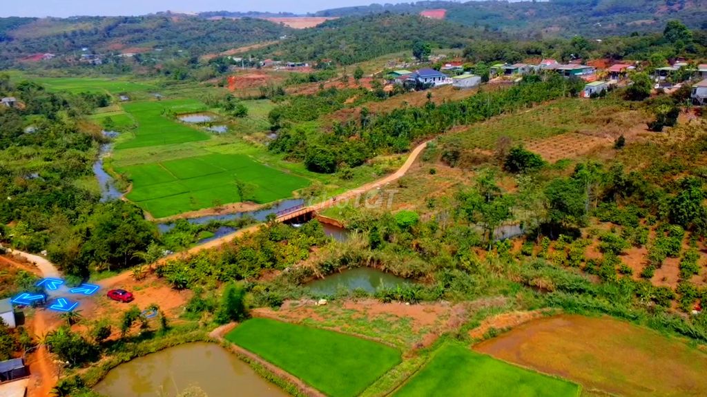 Bán đất Nghĩa Thắng ĐăkRLấp, view suối ruộng, 37m đường 525 triệu