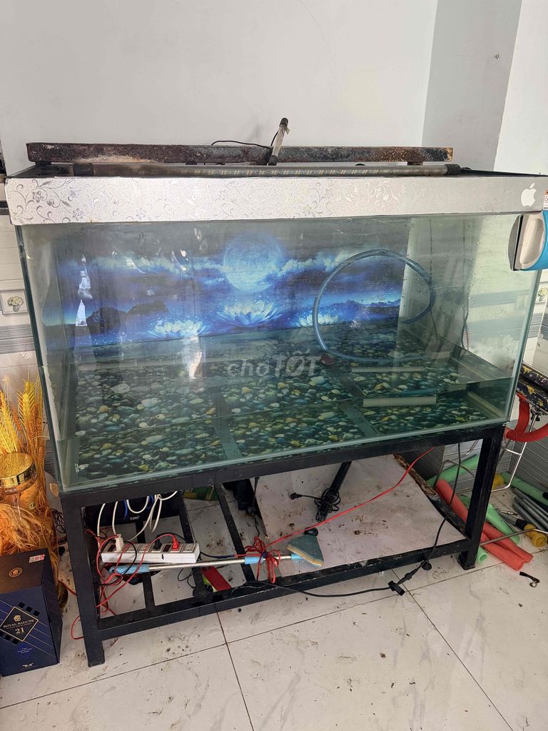 Hồ cá kính 8li 600x1200. Mua bán Phụ kiện, Thức ăn, Dịch vụ tại Quận Bình Tân Tp Hồ Chí Minh được đăng bởi Ngoc hình 1