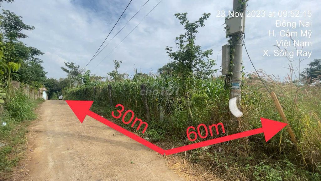 Ngân hàng thanh lý 2020,6m2 100m2 đất ở, vuông vắn giá tốt (Ms Dương). Mua bán đất tại Huyện Cẩm Mỹ Đồng Nai được đăng bởi Dương Chuyên tài sản Thanh lý Ngân hàng hình 2