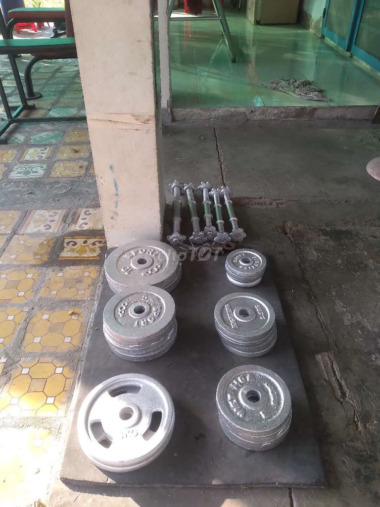 bán bộ tạ của phòng gym đồ cao cấp