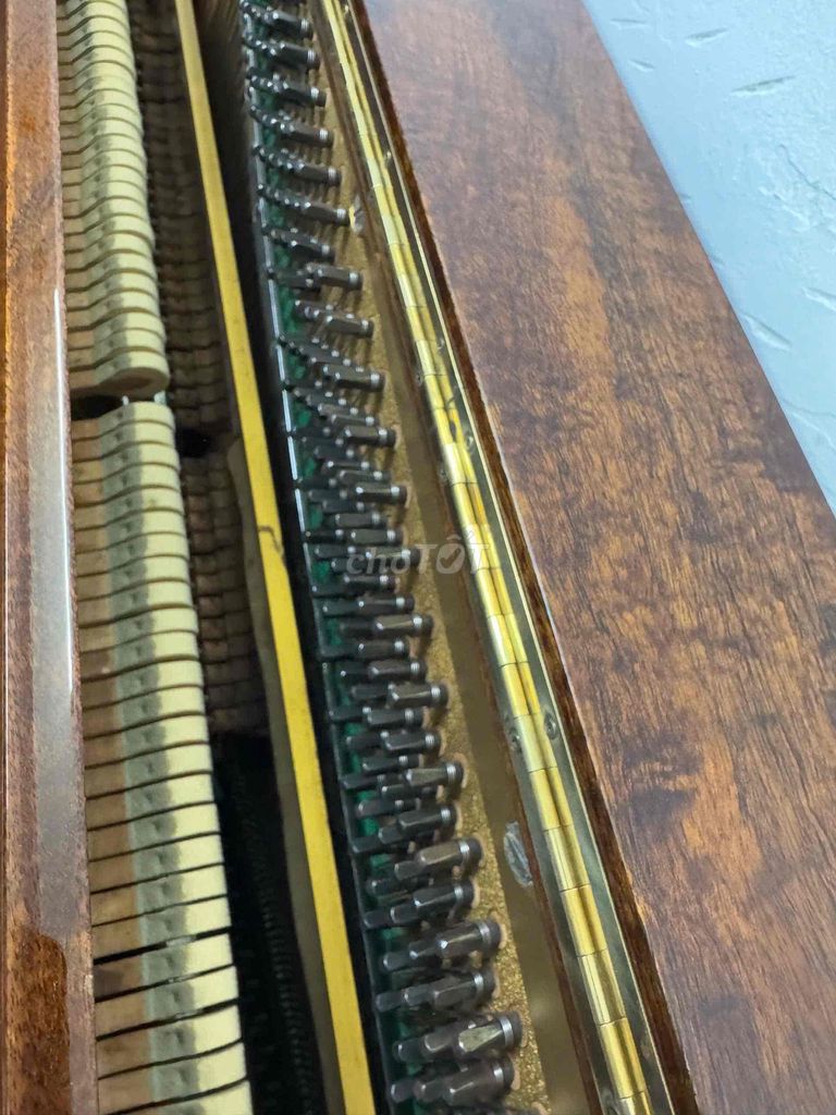 Piano cơ STEINBACH Upright Màu gỗ. Mua bán Nhạc cụ tại Thành phố Thủ Đức Tp Hồ Chí Minh được đăng bởi Trương tuấn Hưng  hình 1