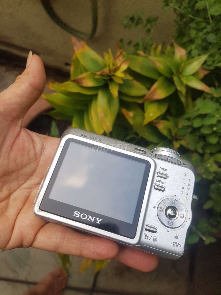Máy ảnh tem Sony lên nguồn