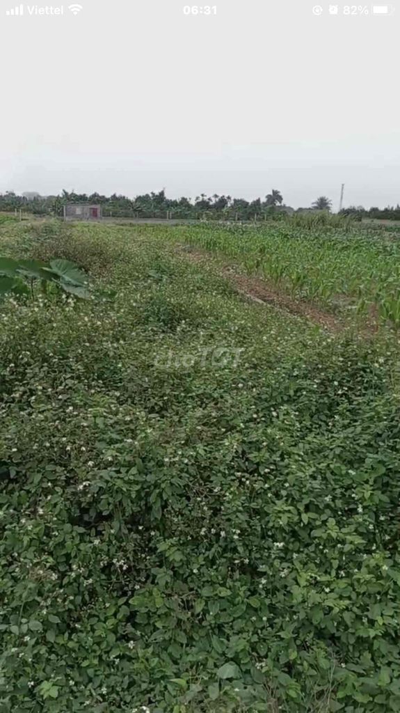Đất nông nghiệp mặt đường tỉnh lộ 422 Sài Sơn Quốc Oai Hà Nội
