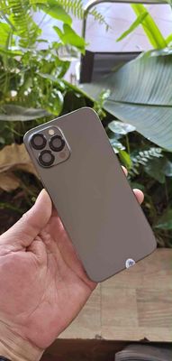 Apple iPhone 12 Pro Max Xám Đã sử dụng